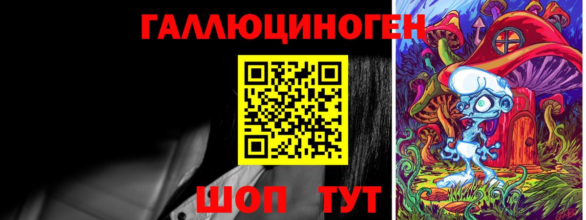 Галлюциногенные грибы Psilocybine cubensis Новозыбков