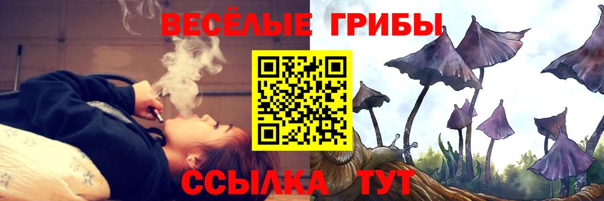 Новозыбков  Галлюциногенные грибы Psilocybine cubensis  Вход с VPN  Галлюциногенные грибы мицелий 