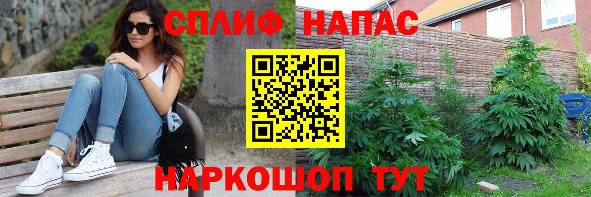 Новозыбков  Шишки марихуана Bruce Banner  МАРИХУАНА планчик  Вход с VPN  Марихуана план 
